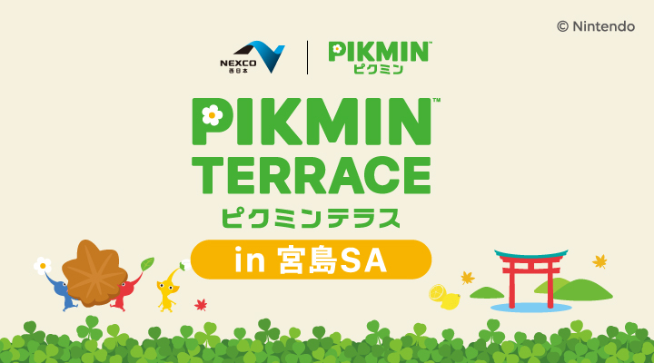 ピクミンテラス