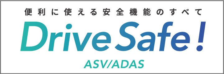 DRIVE SAFE